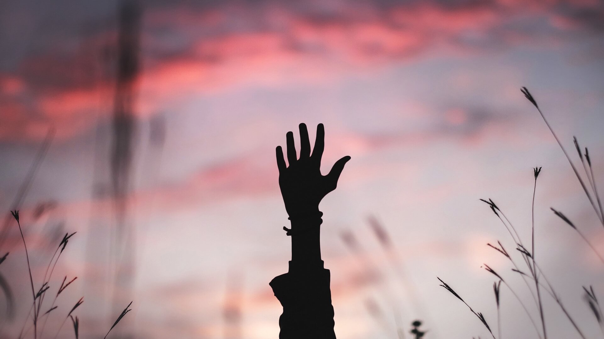 College & Young Pros